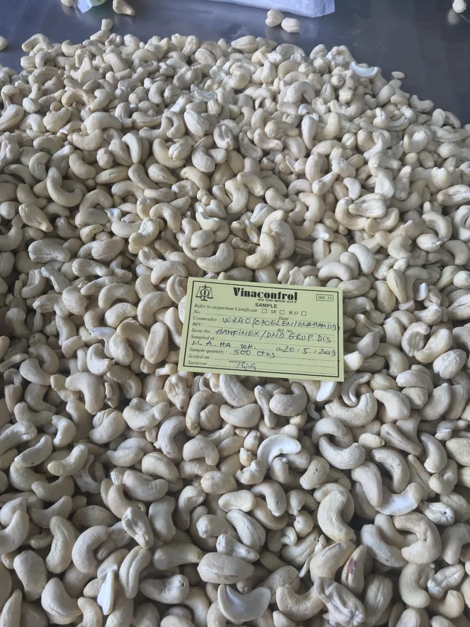 
CLEANED AND SAFE Cashew nuts WS from BInh Phuoc Factory For EXPPORT SM70921 WhatsApp/Kakao 0084965152844 
