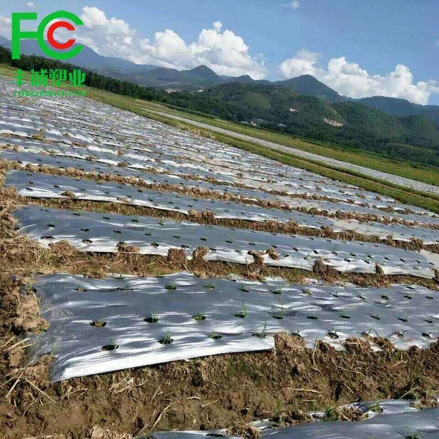 Mulch Film Greenhouse Plastic Agricultural Film Agricultural Ground Cover