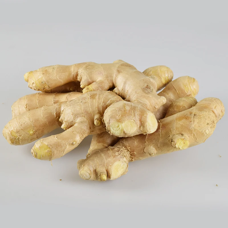 Свежий имбирь оптом, поставка органического нового свежего имбиря