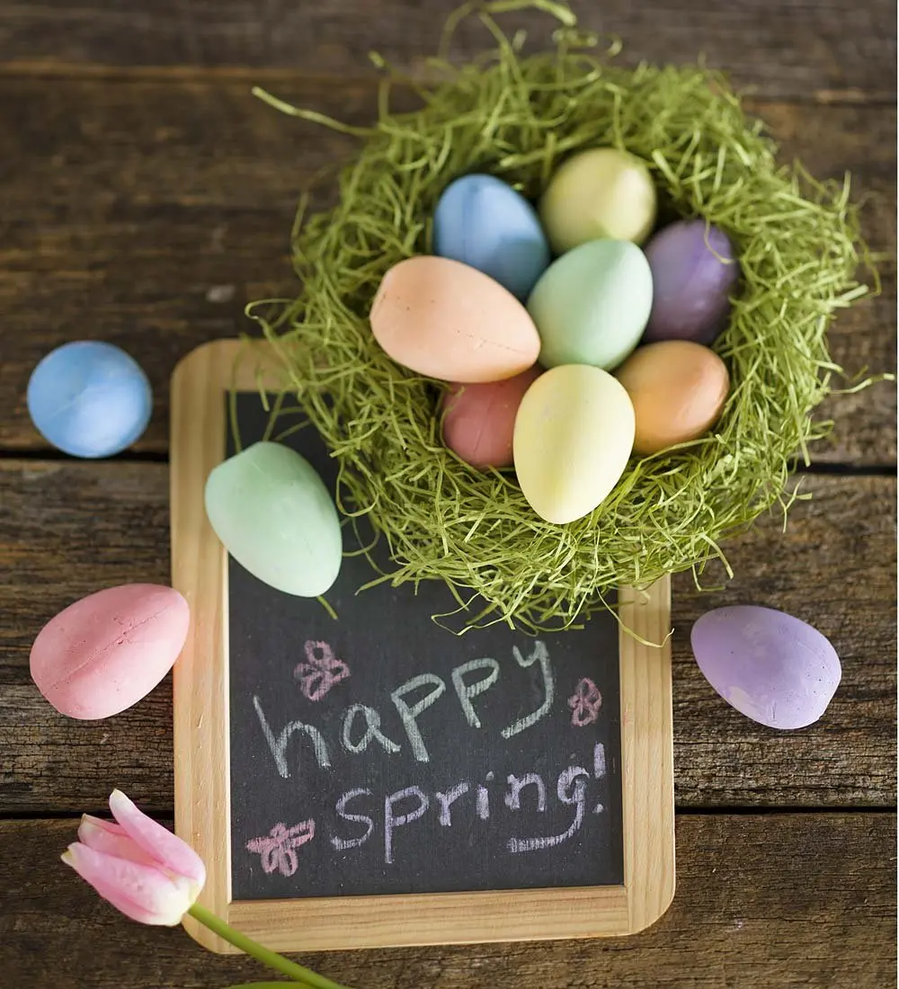 Dustless school jumbo  outdoor games play black board washable dust-free eggs sidewalk chalk