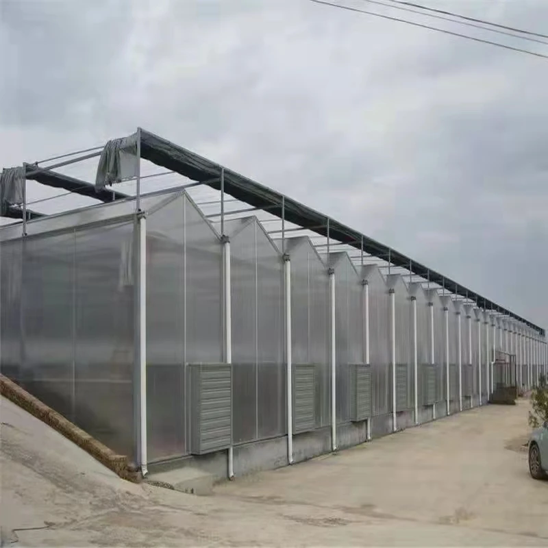 The best vegetable growing UV Coated Agriltural Polycarbonate Roof Sheet Greenhouse SUNSGH greenhouse china