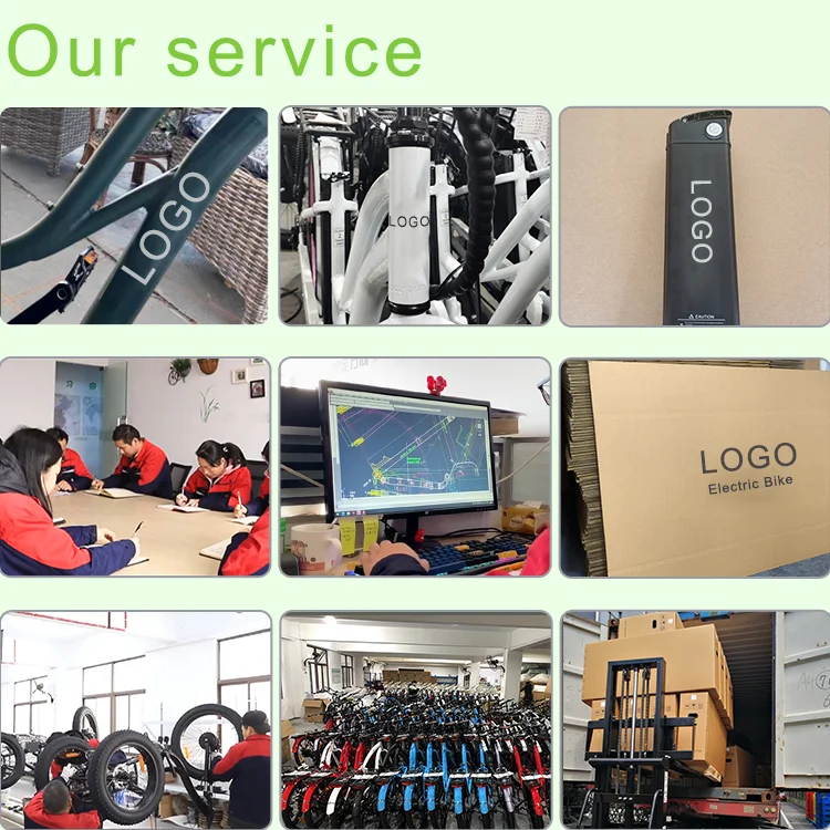 200Kgs Load 3 Wheel Fat Tire Electric Cargo Bike Tricycle Trike 48V 500W 750W 24 Inch Electric Bicycle Electric Cargo Bike