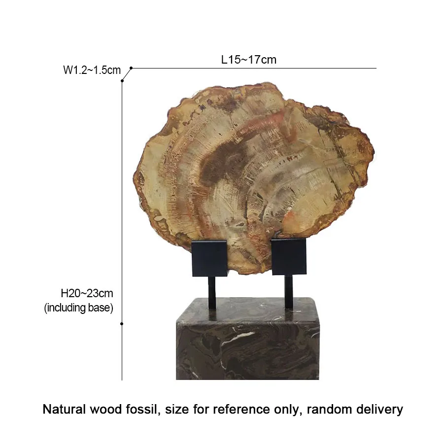 Wholesale natural polished wood fossil slab rough stone slice specimen ,petrified wood piece