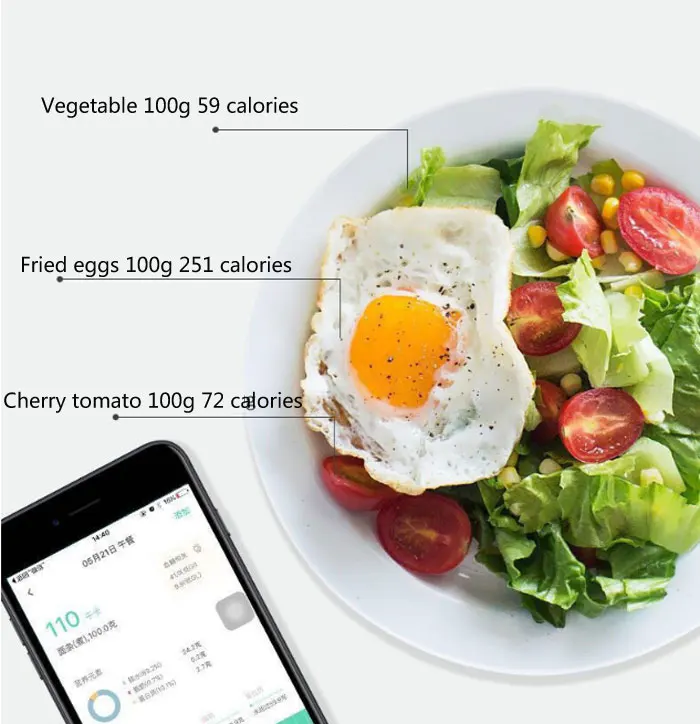 Household Electrode Supscale  Body Fat Smart Weighing Scales