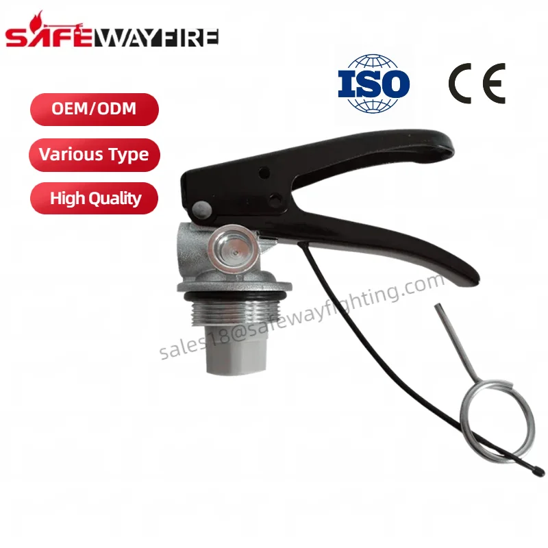 Safewayfire Manufacture Good Quality 3-12kg ABC Dry Powder DCP Fire Extinguisher Valve