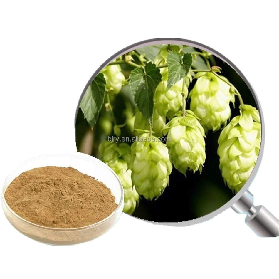 New batch Hops extract, Hops Flower Extract with Humulone powder