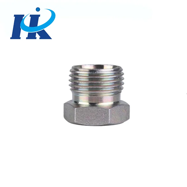 Hot selling customized Hydraulic Fittings Hex Head Carbon Steel Male Pipe Plug good price for supply