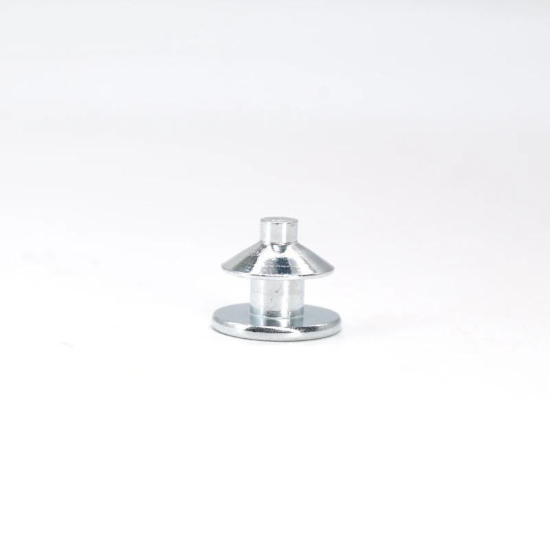 Factory Custom High Quality Brass Stainless Steel Carbon Steel Eccentric Solid Rivet Eccentric Step Pins