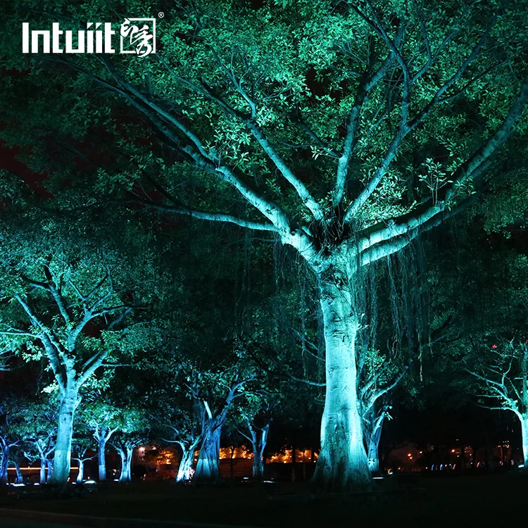 
Hot selling Curves lighting up trees IP67 outdoor DMX/RDM RGBW 36W led waterproof tree light/garden lights 
