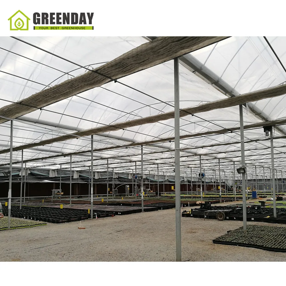 
GREENDAY Commercial wind resistance wooden mini wood glass 10mm polycarbonate sheet greenhouse for home agricultural used sale 