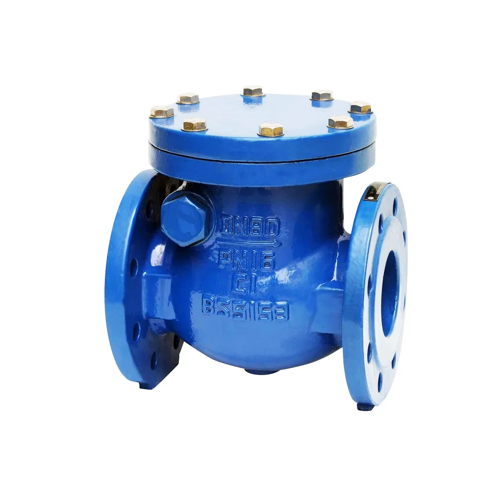 Factory Hot Selling DN80 PN16 Flanged Type Ductile Iron Swing Check Valve