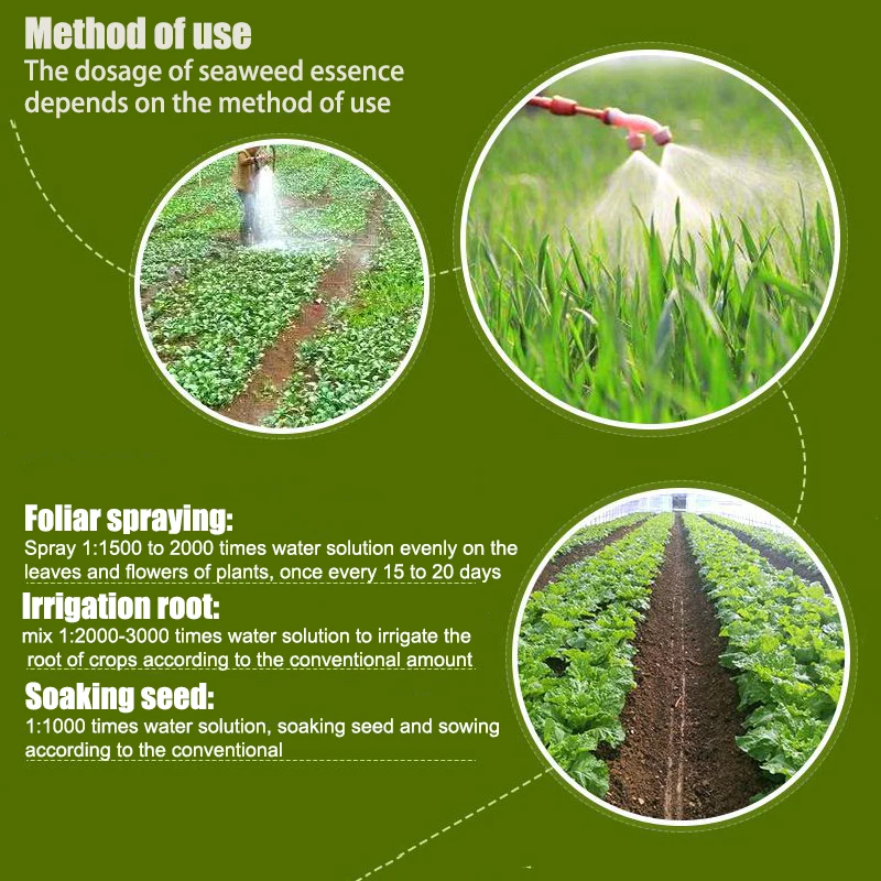 Lemandou Best sale 100% water dissoluble seaweed extract fertilizer for  plant growth