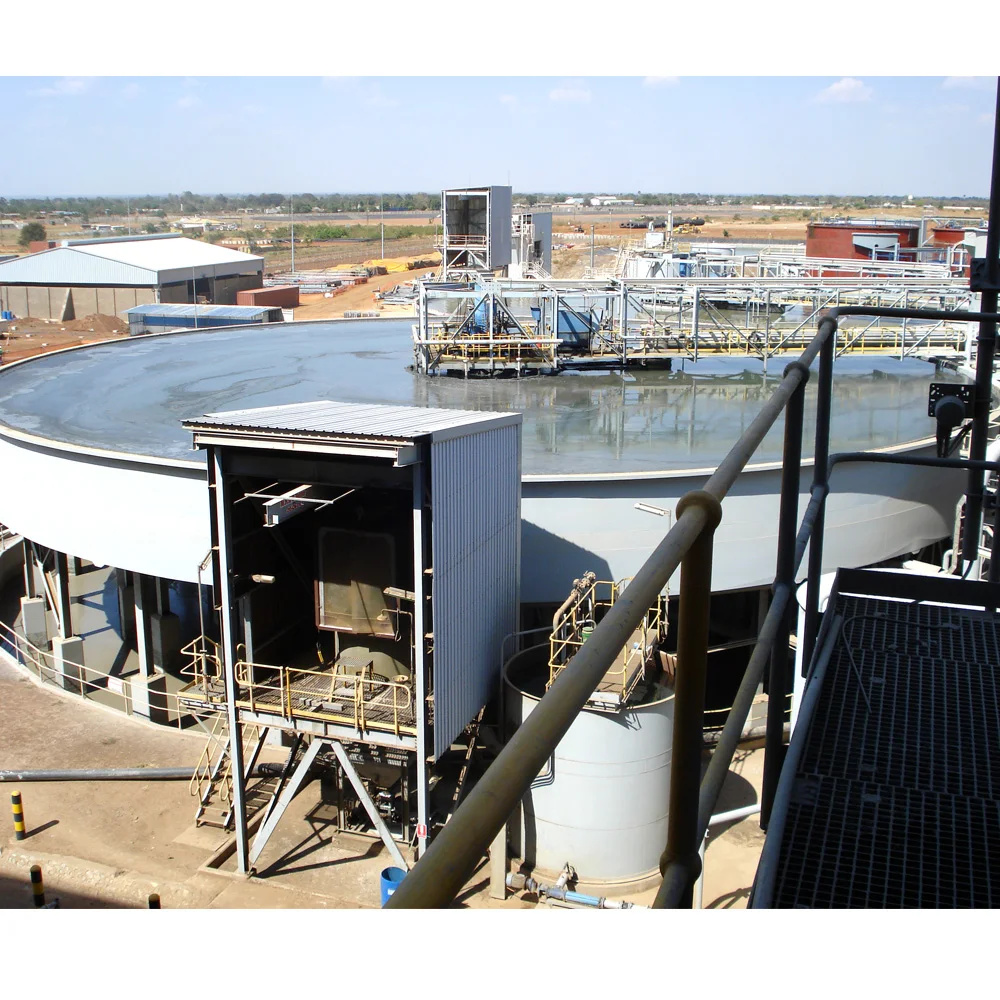 Hot Sale Mining Sludge Thickener Deep Cone for Tailing