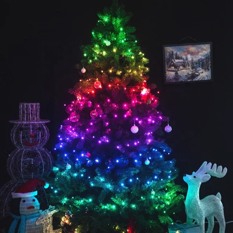 Outdoor Indoor Christmas Holiday Decoration weatherproof  RGB light LED chain