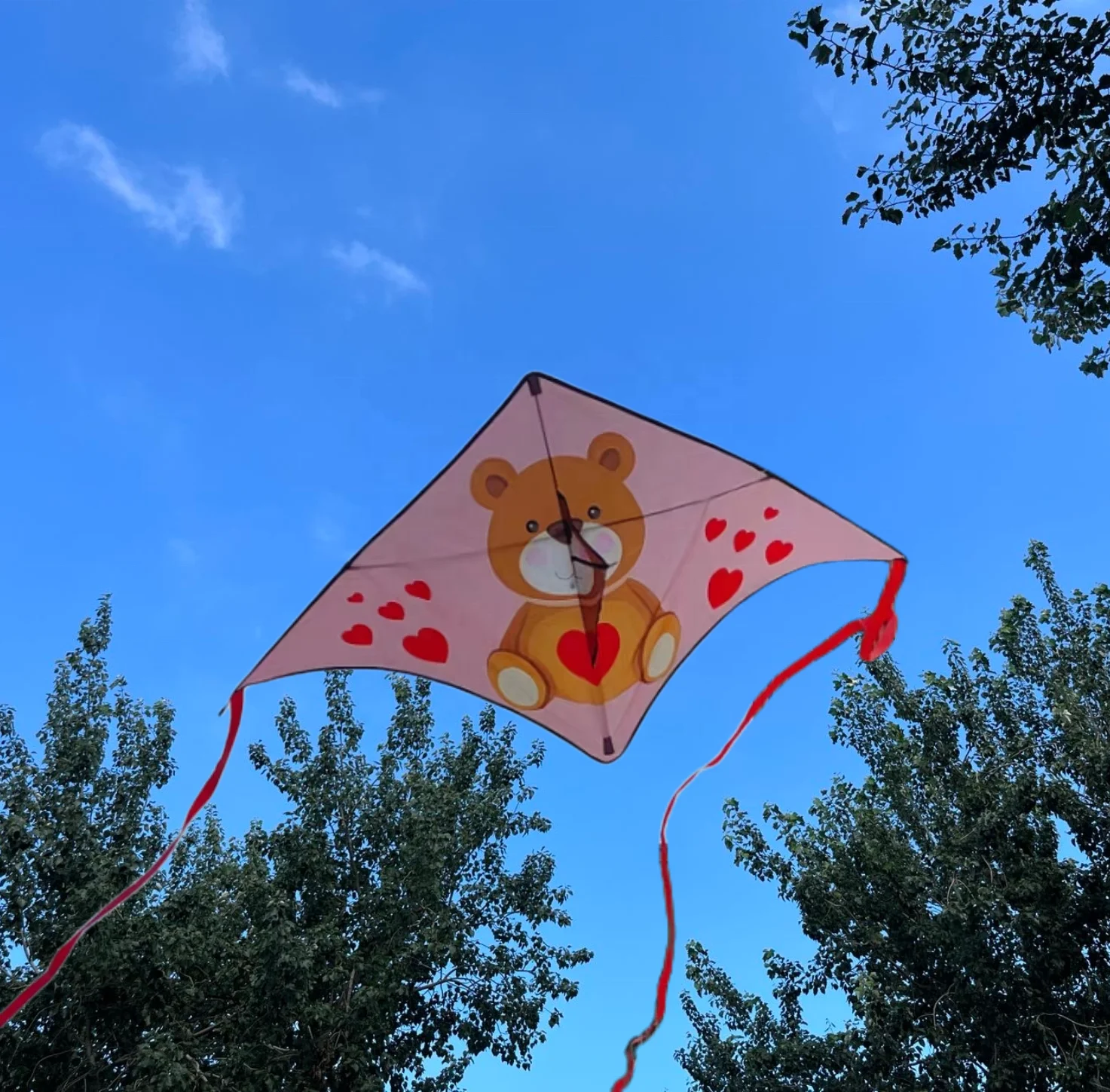 Wholesale Polyester Fabric Kite Cloth Delta Shape With Good Quality