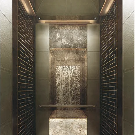 luxury decoration cabin office Customized differentiated passenger elevator for 6 person
