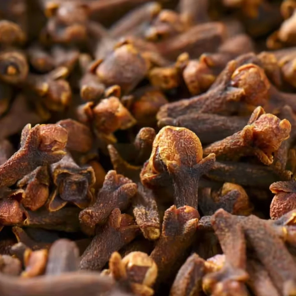 Spices Supplier Wholesales Natural Dried Whole Elongated Cloves Good Price Dry Cloves For Food