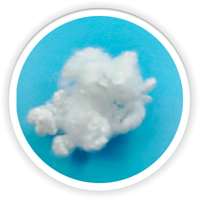 Virgin hollow conjugated polyester staple fiber 3D for filling