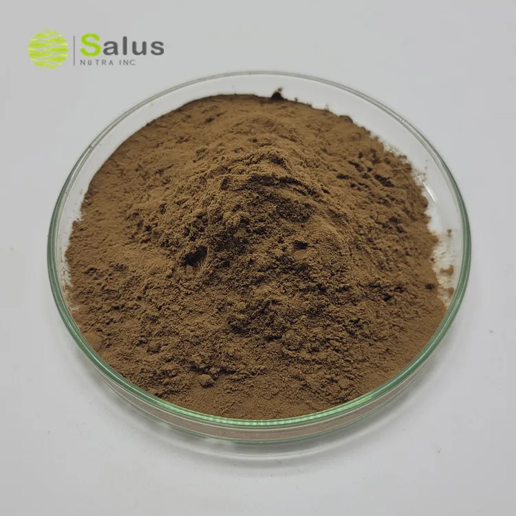 Pygeum Africanum Bark Extract With Phytosterols 2.5% For Men Health