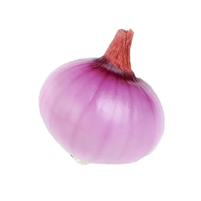 2021 Hot new product Chinese supplier fresh onion seasonal high-quality purple onion 5kg per box