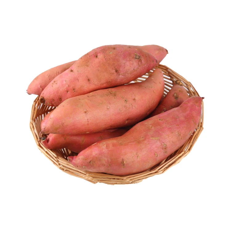 
High Quality EGYPTIAN Fresh Purple Sweet Potato 