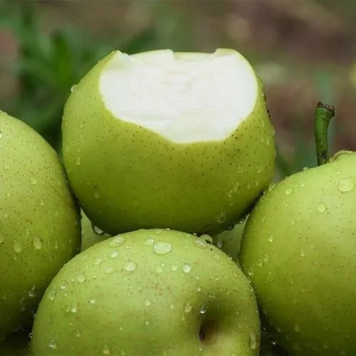 Cheap Price China Emerald Pear