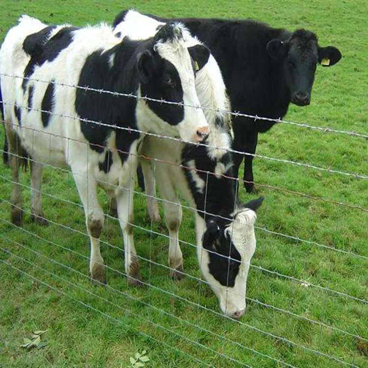 steel farm fence