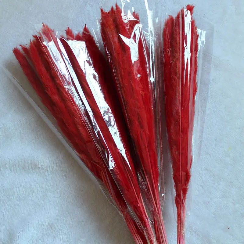Amazon Popular products  70-90cm Artificial Red Small Pampas Grass