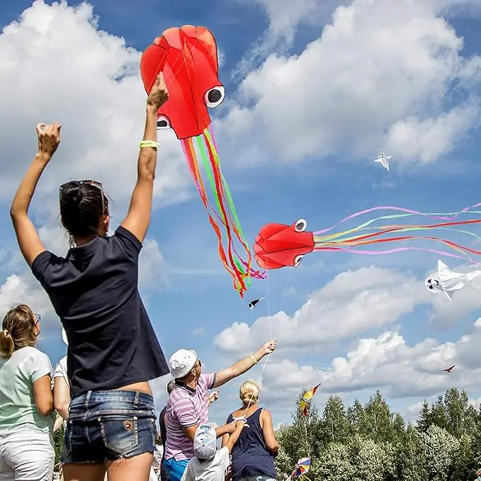 Large Octopus Kite 3D Kite with Long Tail for Outdoor Colorful Beach Flying Kites for Kids Easy to Fly