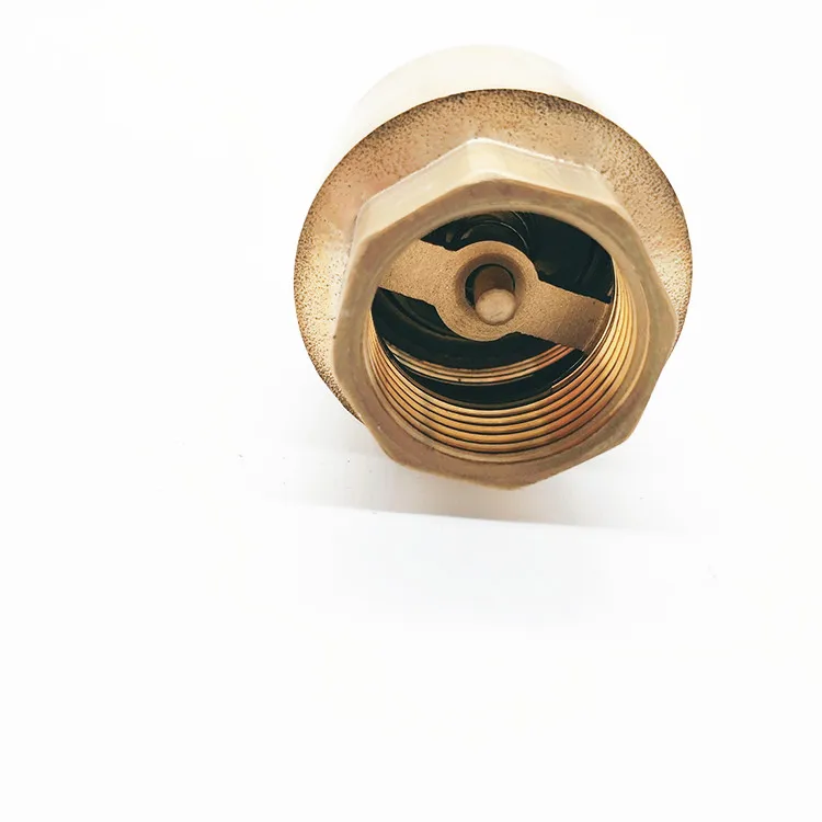 Non-return  One Way With Flap2 Inch  Hydraulic Vertical Waster Brass Check Valve