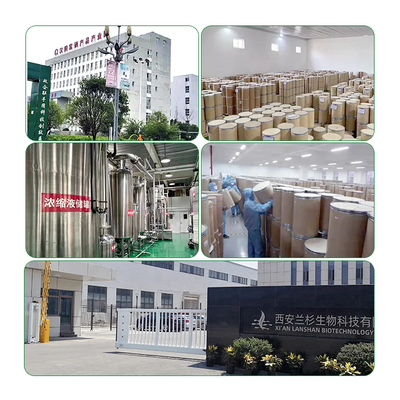 Pure Natural cocoa extract 10% 20% 99% theobromine powder CAS 83-67-0