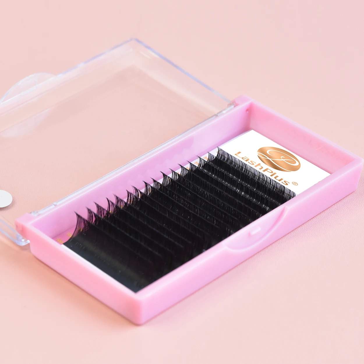 LashPlus korea PBT fibers de cilios pesta as pelo a pelo 0.15mm 3d nature extension lash supplies