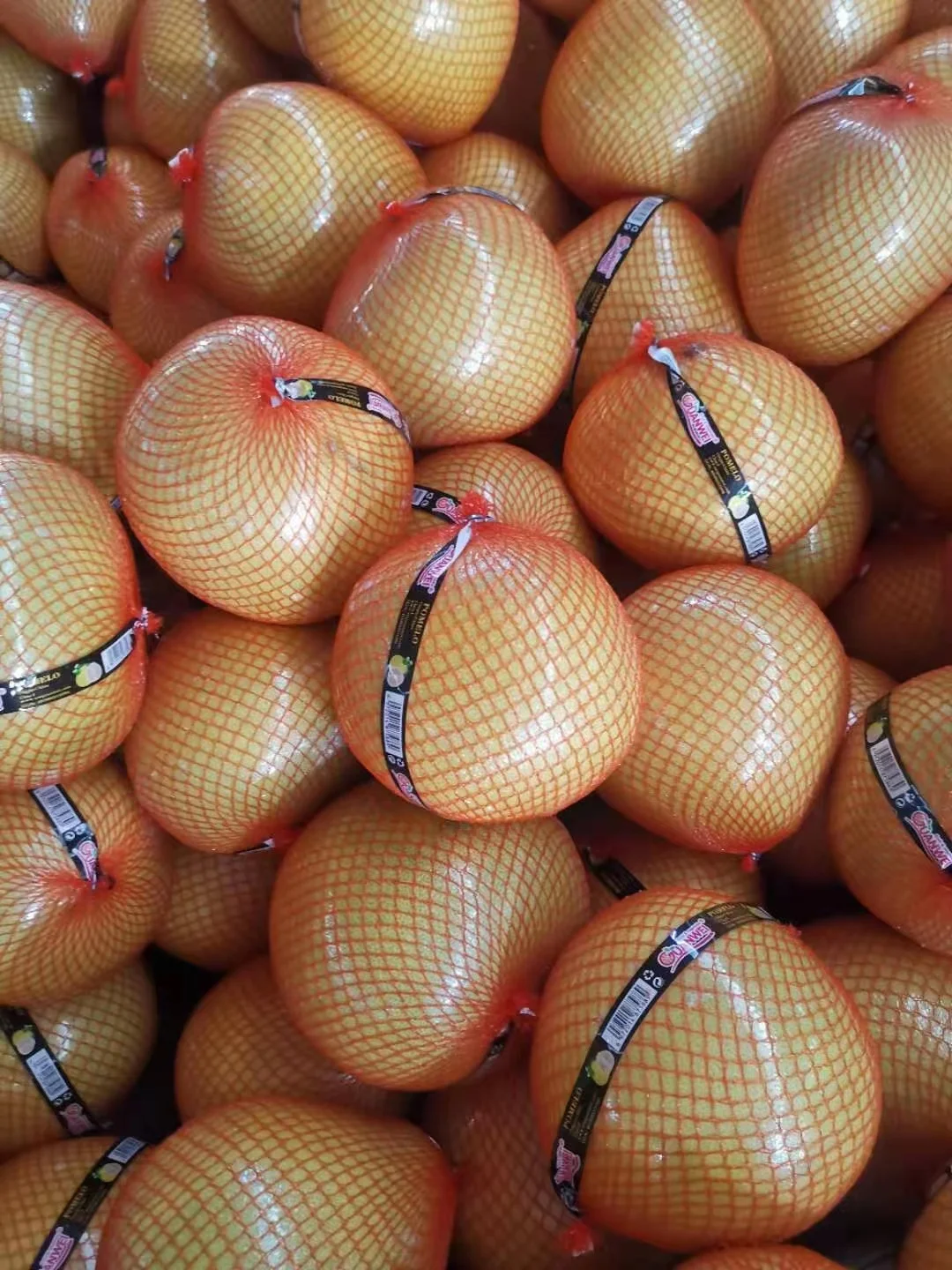 Fresh pomelo new harvest delicious fruits grapefruit for export from China good quality pomelo