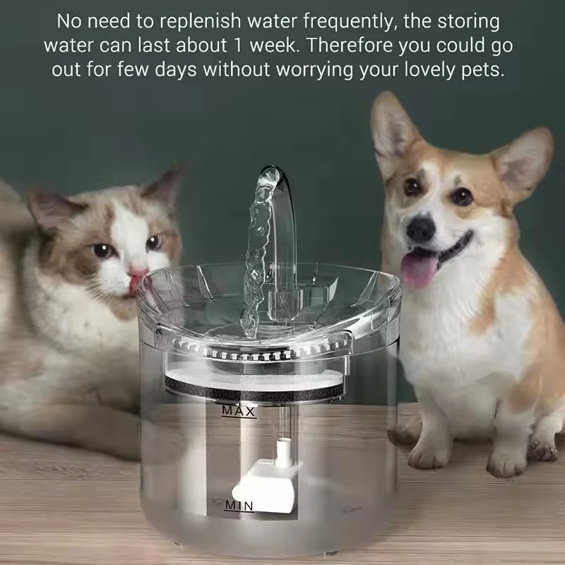 With quiet Pump	ultra silent pet water fountain	cat auto feed water 2024 app	cat water fountain automatic
