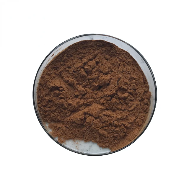 AUVO Supply Health Product Shiitake Mushroom Extract Powder