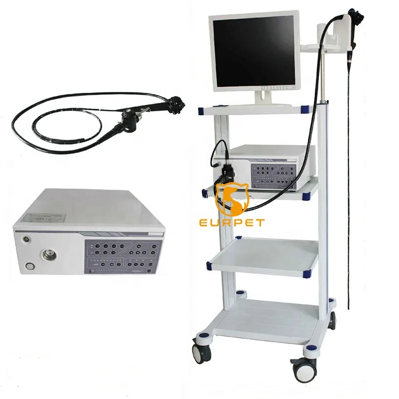 EUR PET Best Selling Veterinary Instrument Prime Veterinary Flexible Endoscope Diagnosis Gastroscope For Vet