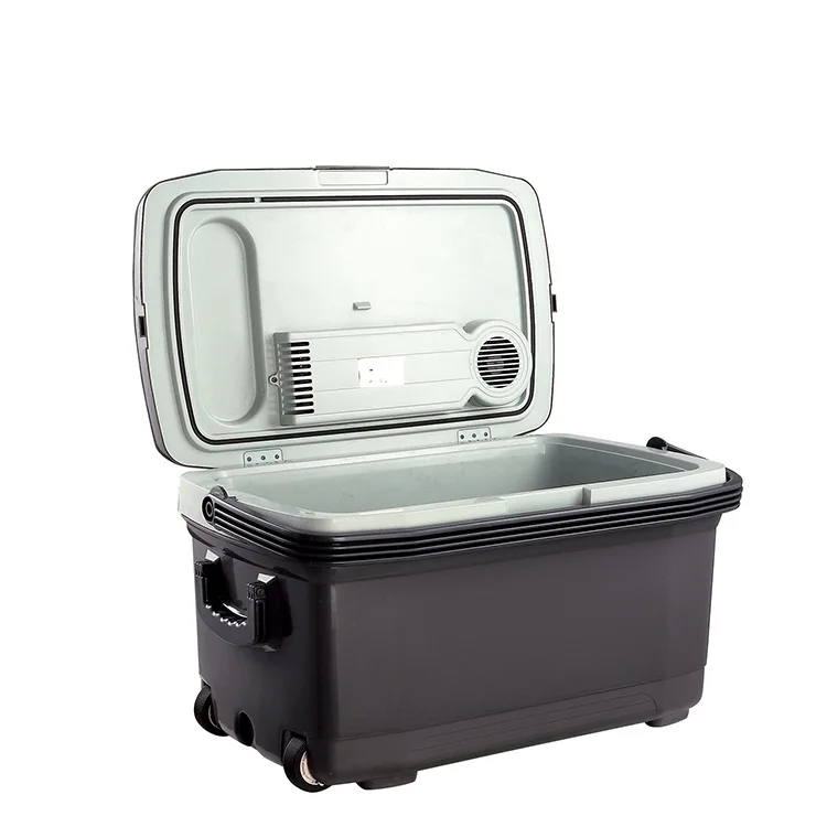 50L Custom portable plastic ice cooling electric mini cooler box