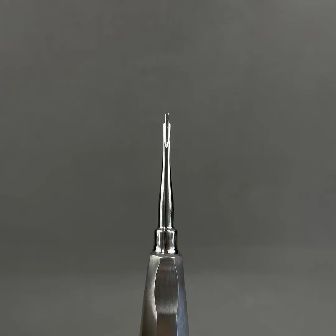 Root Elevator Str Steel Dentist Surgical Instrument Tool Dental Lift Root Elevator Dentistry Tools