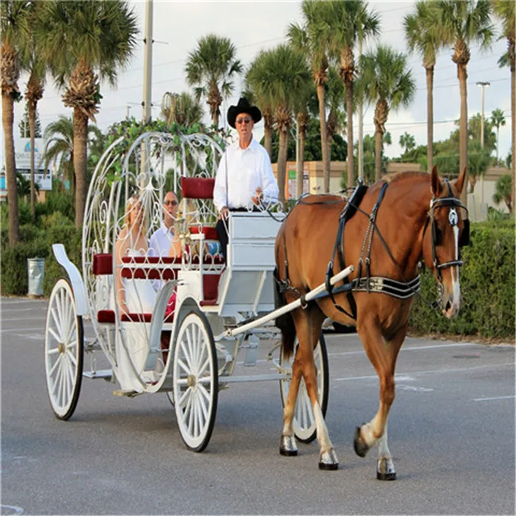 
Wedding cinderella horse-drawn carriage/wagon can be refitted to electric 