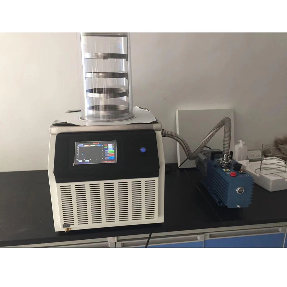 
DW-10N Laboratory Freeze Dryer Price Lab Vacuum Freeze Dryer for Sale 