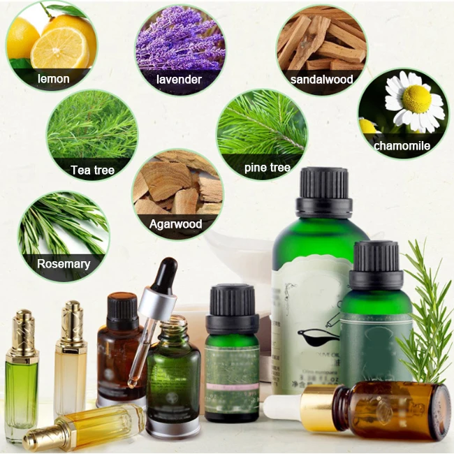 New style distilling essential oils equipment essential oil steam distillation