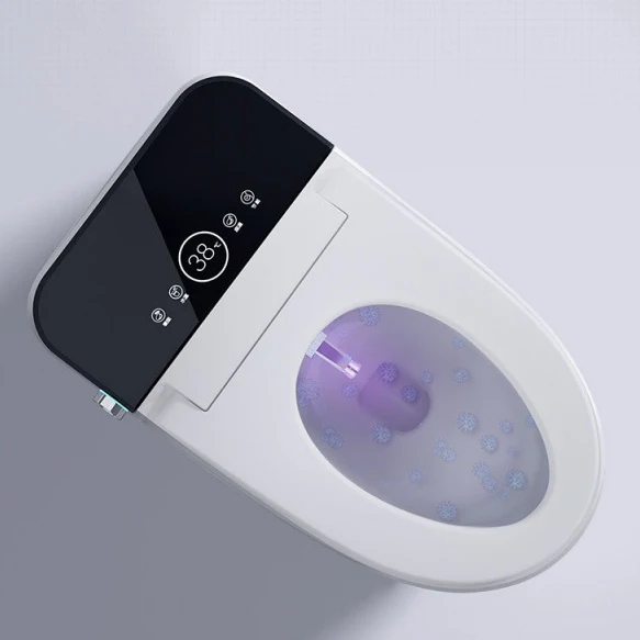 FREE SHIPPING TA00X81Bathroom Products Smart Toilet Sanitary Ware Electronic Concealed Smart Wc Toilet With Remote