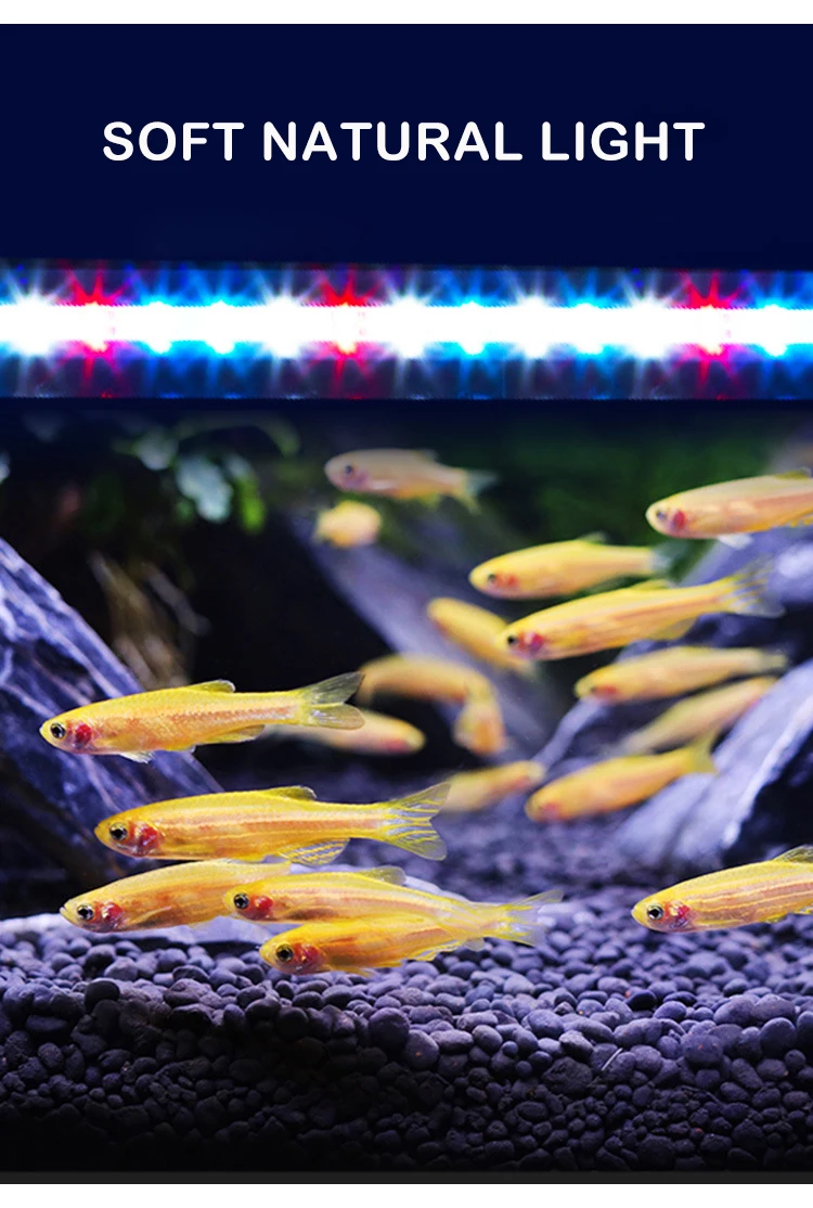 Low Energy Consumption Submersible Fish Tank LED Light Aquarium Lamp With Double Row Light Beads For Fish Lighting