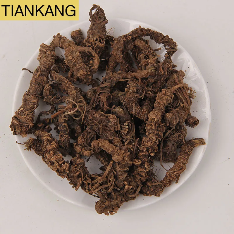 High quality Chinese medicine valerian wholesale valerian root the best price