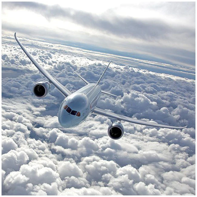 International Logistics DDP Shipping From China To USA Good Price Freight Forwarder Agency Service