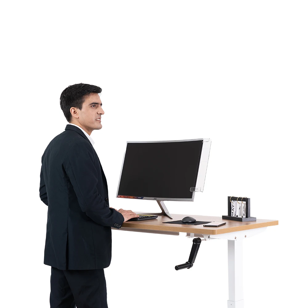 Eisdir M2D Factory Direct Supply Hot Sale Stainless Steel Ergonomic Height Adjustable Hand Crank Manual Stand up Desk