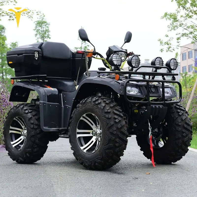 Квадроцикл Snow Atv 4x4 500cc Zongshen 250cc Quad Bike