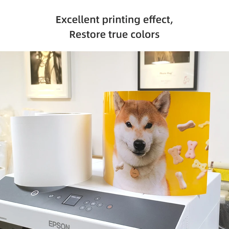 5/6/8 inch D800 D700 fuji De100 Glossy Luster Dry Mini lab printer RC Photo Paper roll for Epson fujifilm Noritsu