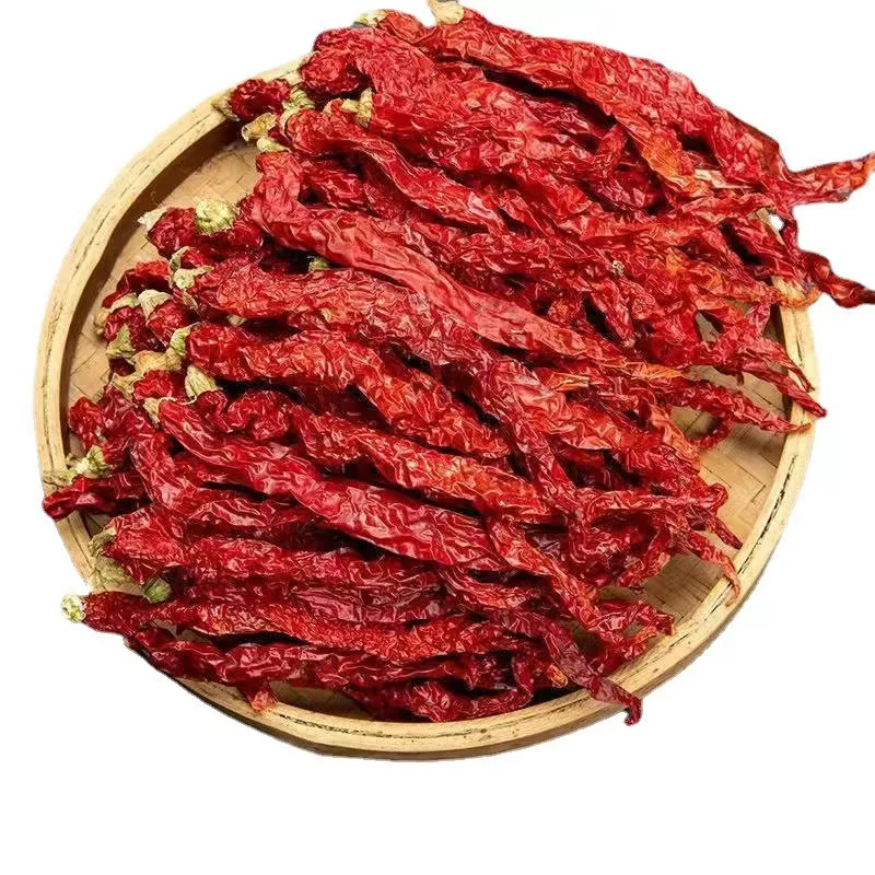 Byadgi Red Chilli Export Quality Dried Chili without Stem Wrinkled Skin Texture Rich Flavor for Those Who Prefer Less Spicy Food