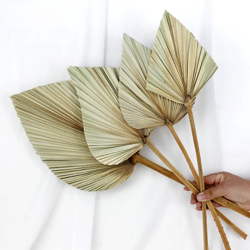 Wholesale wedding decoration natural dry palm leaf plate fan dried flower arrangement palm leaves for wedding decor